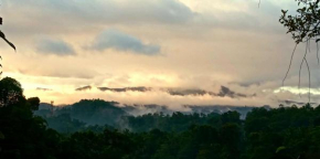 Mount View Home Stay